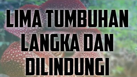 LIMA TUMBUHAN LANGKA DAN DILINDUNGI