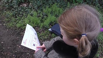 InPrint 3 - What Will You Create?