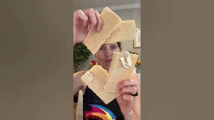 Herbvian 4pk of 100% Natural Loofah Sponges