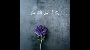 قران كريم بصوت عبد الباسط عبد الصمد ( رَبَّنَا لَا تُؤَاخِذْنَا إِنْ نَسِينَا أَوْ أَخْطَأْنَا ۚ )