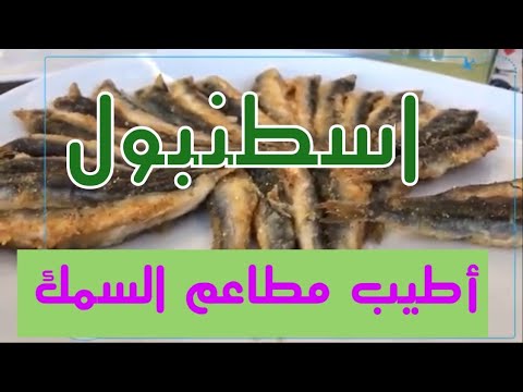 أفضل وأرخص مطاعم السمك فى اسطنبول