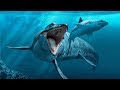 The Most Impressive SEA MONSTERS ( Amazing prehistoric animals)