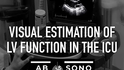Assessment of LV function in the critically ill