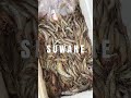 Fresh Suwahe 🦐 #shrimps #pampanga #bulacan #food #buhaypalaisdaan #seafood #suwahe #hipon