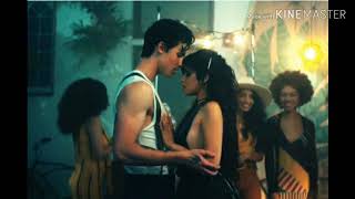 Shawn mendes_ camila cabello - senorita - DJ skyrock remix