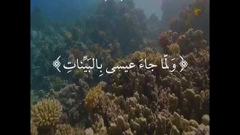 ماتيسر من سورة الزخرف تلاوة تريح بها قلبك