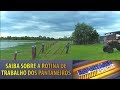 Reportagem Especial: A rotina dos trabalhadores rurais do Pantanal