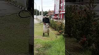 Semoga matahari kan kembali bersinar.