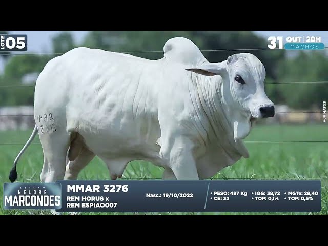 LOTE 05   MMAR 3276