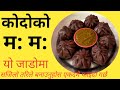 कोदोको म: म: बनाउने तरिका | kodo ko momo banaune tarika | momo banaune tarika | kodo ko ma ma recipe