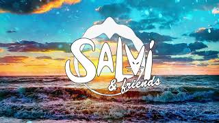 Salvi & Friends #3 - Franklin Dam (Birthday DJ Set)