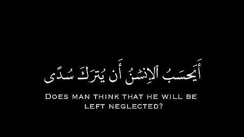 أيحسب الإنسان أن يترك سدى || سورة القيامة أحمد العجمي|| كروما شاشه سوداء قرآن الكريم