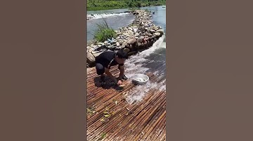 Khám phá phương pháp bẫy cá bằng sàn tre