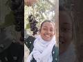 48/365 #minivlog48#mangogarden #villagelife