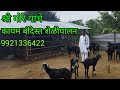 श्री गोरे यांचे कायम बंदिस्त शेळी पालन 9921336422 #shelipalan