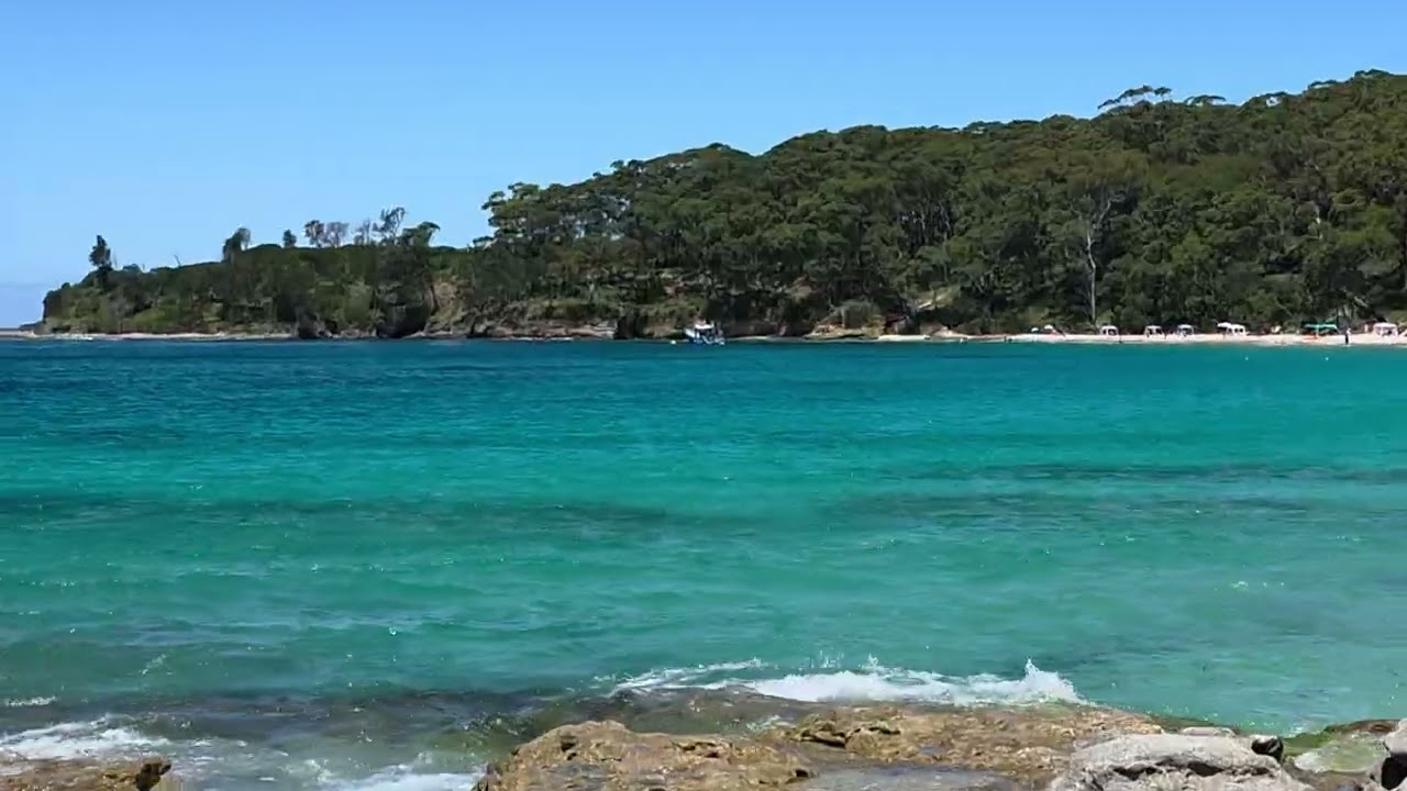 Jarvis bay 