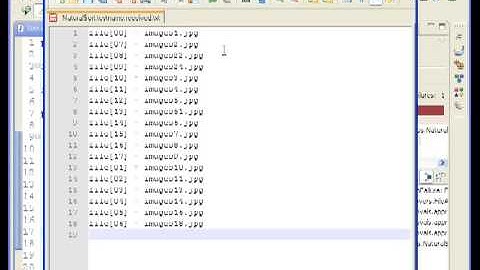 Approvals Testing Arrays