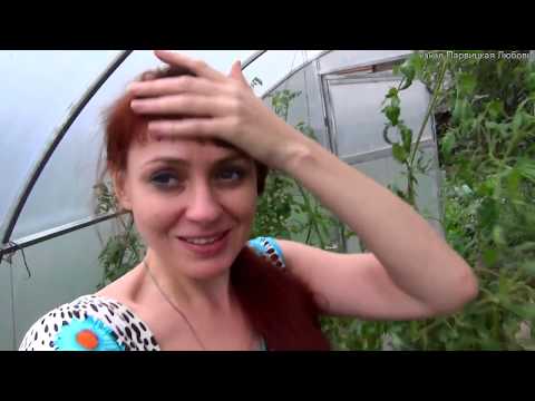 Деревенская жизнь 1 часть. Владимирская обл. Мстера. Огород. кошки. собаки