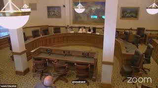 Senate Education Committee, January 20, 2023 - continued