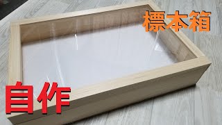 標本箱が高価すぎるから自作することにした。