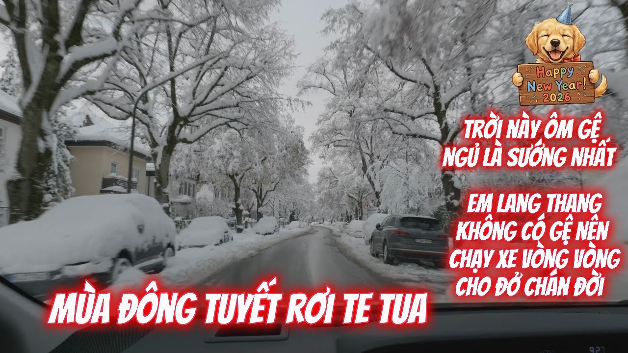 Em Lang Thang chạy  xe trong mùa đông tuyết rơi đầy đường có bị trơn trượt không ?