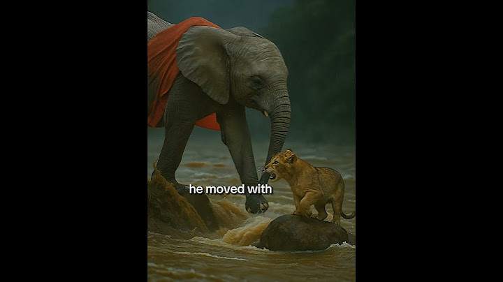 Baby Elephant Saves Baby Lion from Flood  | Hero Animal Story #shorts