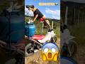 Bro is delivering gas on a motorbike 😭⛽ #funnyvideo #doggielife #animallife #cutepets #funnypuppy