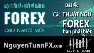 Bài 4: Các THUẬT NGỮ Forex bạn phải biết