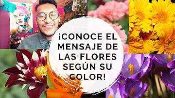 ¿Qué representan las flores en la henna?