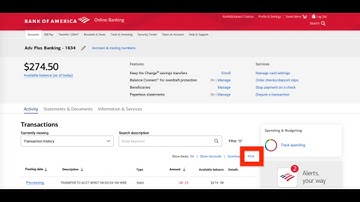 How to Print Bank of America Transaction History with URL