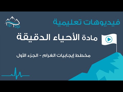 مادة الأحياء الدقيقة مخطط إيجابيات الغرام الجزء الأول    