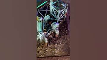 Wargaming terrain: EASY MODE