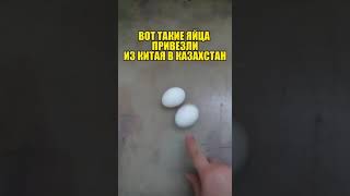 Яйца привезли из Китая в Казахстан