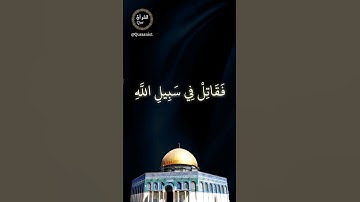 فقاتل في سبيل الله لا تكلف إلا نفسك - تلاوة هادئة من القرآن الكريم بصوت الشيخ إدريس أبكر - النساء ٨٤