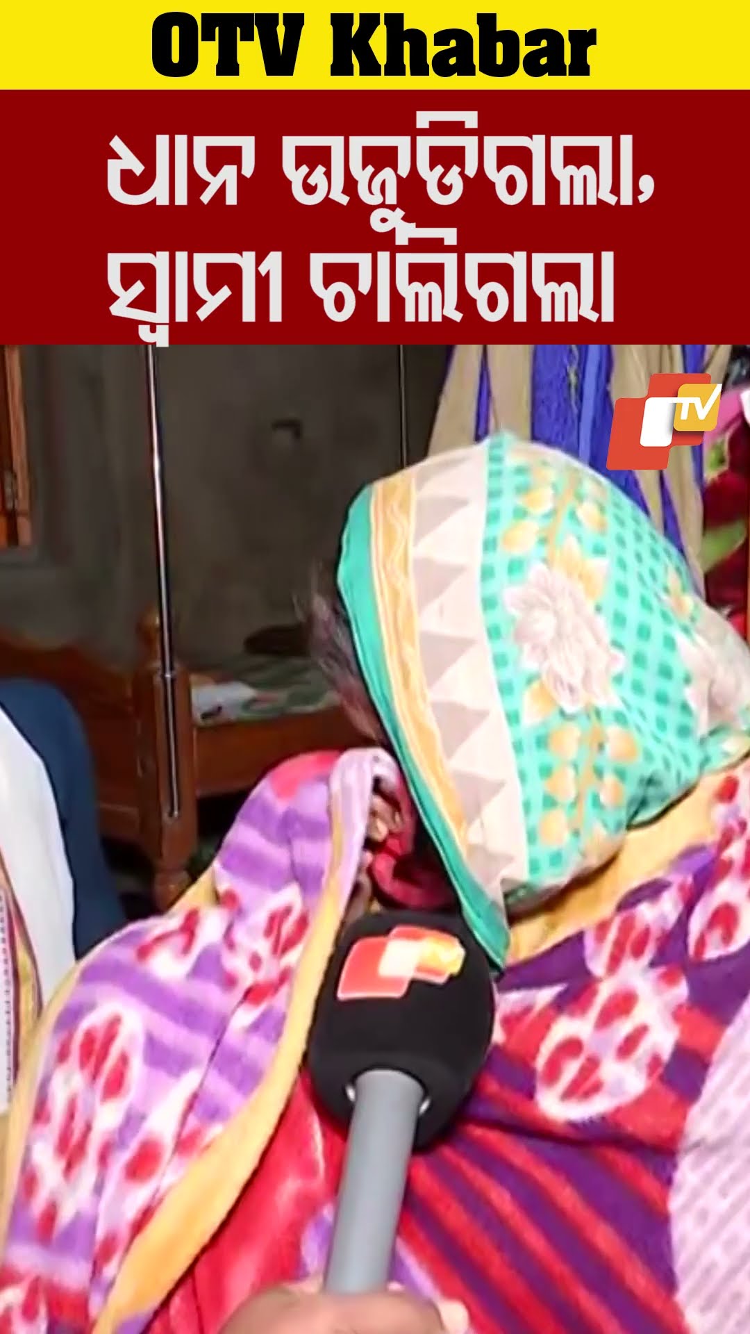 ଉଜୁଡା ଧାନକୁ ଦେଖି ସ୍ୱାମୀ ଚାଲିଗଲେ, ଏବେ ଋଣ କିଏ ସୁଝିବ ? #CropLoss #Kendrapada #Odisha #OTV
