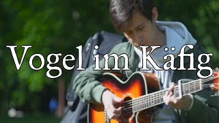 Video thumbnail of "Vogel im Käfig - Attack on Titan OST (進撃の巨人) - Fingerstyle Guitar Cover"