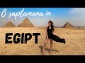 EGIPT 2021: Merită? Resort All Inclusive Hilton Hurghada Plaza (Excursii Cairo, Luxor, etc) + Q&A