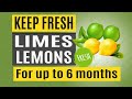 How to Store &amp; Keep Lemons Limes Fresh For Longer | Trick to Store Lemons in Fridge for 6 Months