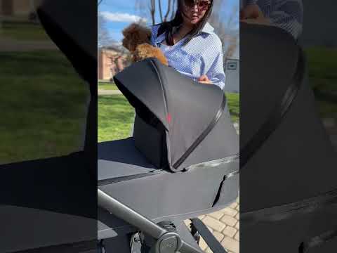 Універсальна коляска 2в1 CARRELLO Omega CRL-6540, Solar Beige, видео 1