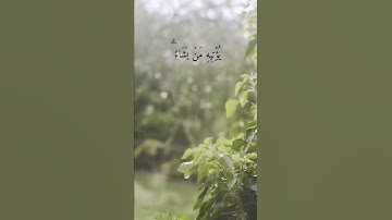 حالات واتس اب قران / تلاوة خاشعة / راحة نفسية / شريف مصطفى ( قُلْ إِنَّ الْفَضْلَ بِيَدِ اللَّهِ )