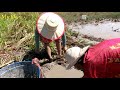 Amazing Find Fishing - Pretty Girl Catching A Lot Of Snakehead Fish In Mud Dry Season