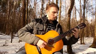 Jeremy Soule - Dragonborn (The Elder Scrolls V Skyrim main theme) (guitar cover by Andrey SRJ)