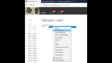 Natas Wargames OverTheWire: Level 2 - 3 | Cyber Security | OverTheWire