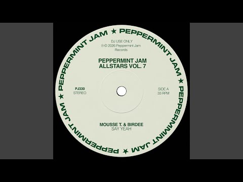 Mousse T. & Birdee - Say Yeah