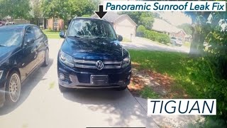 TIGUAN PANORAMIC SUNROOF LEAK FIX (Easy DIY)