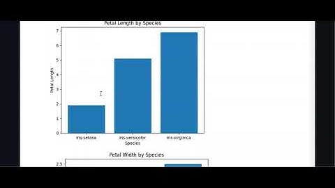 Iris Classification Video