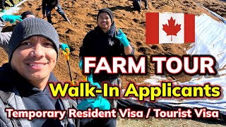 WALK IN APPLICANTS | FARM TOUR in CANADA #pinoycanada #filipinocanada #buhaycanada #canadalife