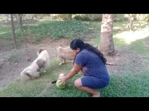 drinking-fresh-coconut-juice