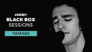 Tamino - &quot;Tummy&quot; | Indie88 Black Box Sessions