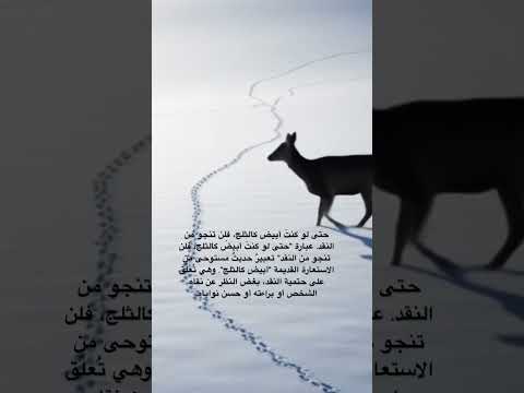 حتى لو كنت أبيض كالثلج فلن تنجو من النقد عبارة حتى لو كنت أبيض كالثلج فلن